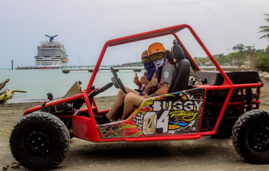 Dunne Buggy Double