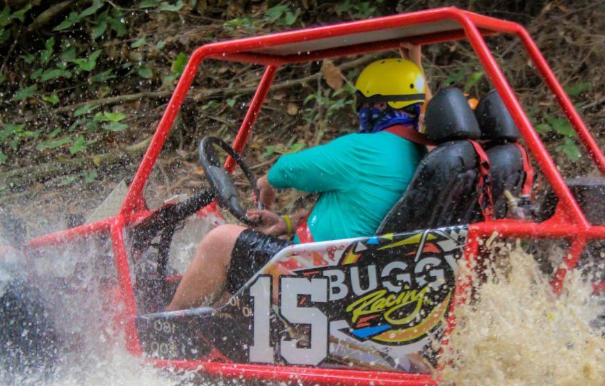 Dunne Buggy Double