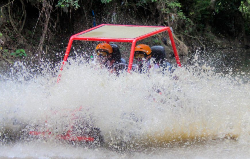 Dunne Buggy Double