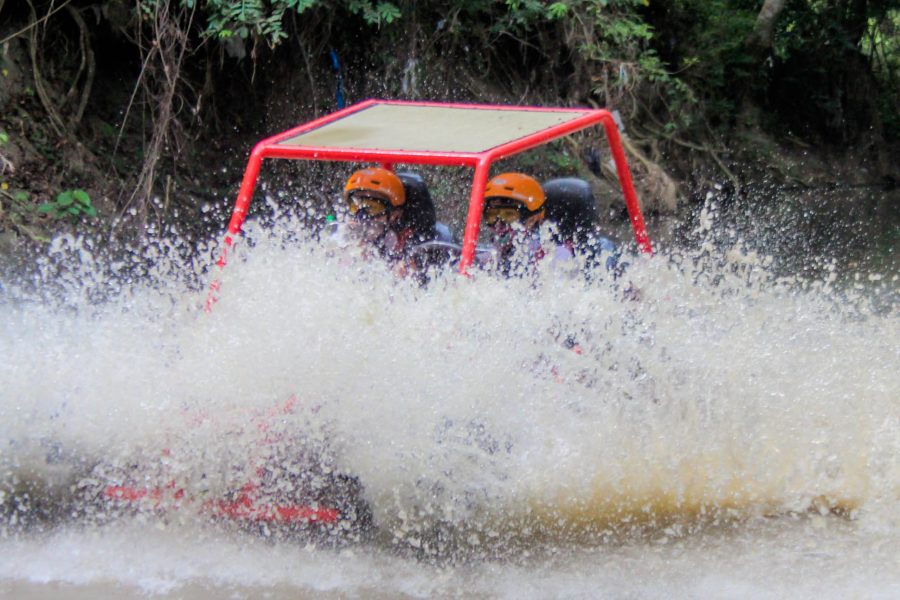 Dunne Buggy Double