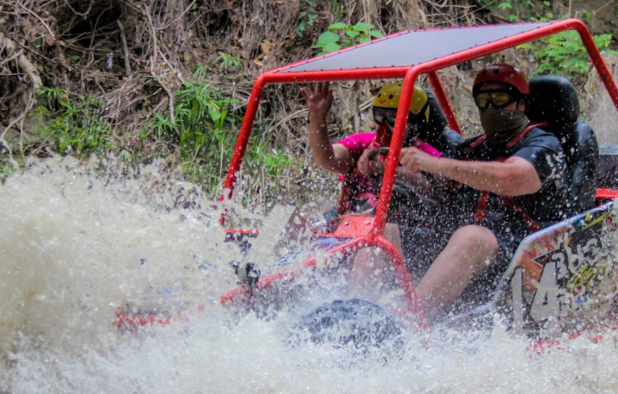 Dunne Buggy Double