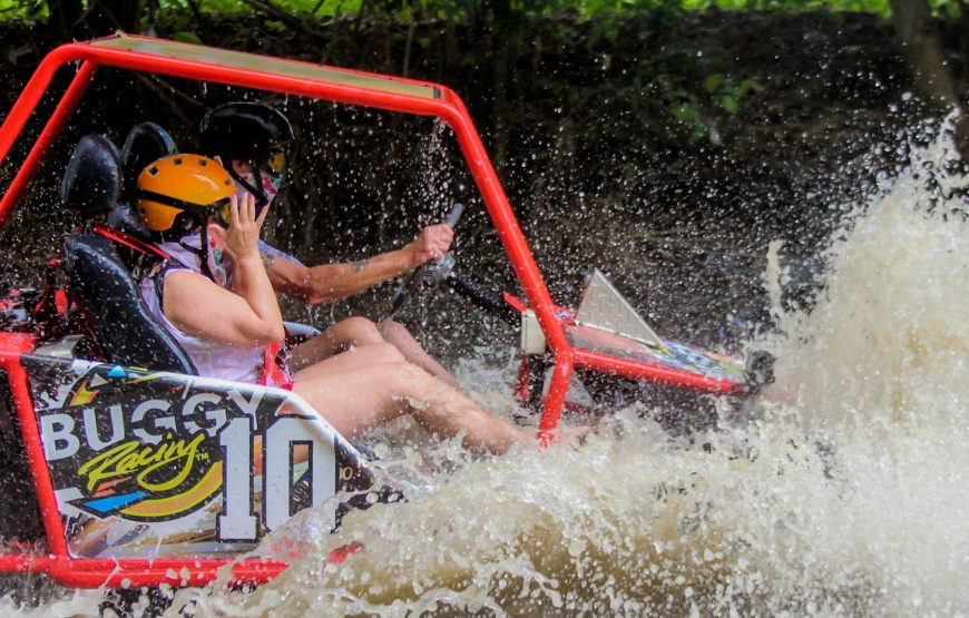 Dunne Buggy Double