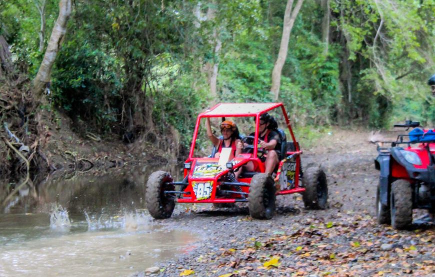Dunne Buggy Double