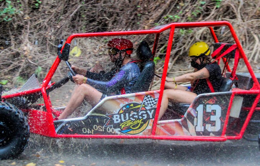 Dunne Buggy Double