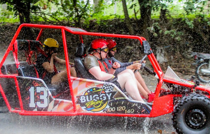 Dunne Buggy Double