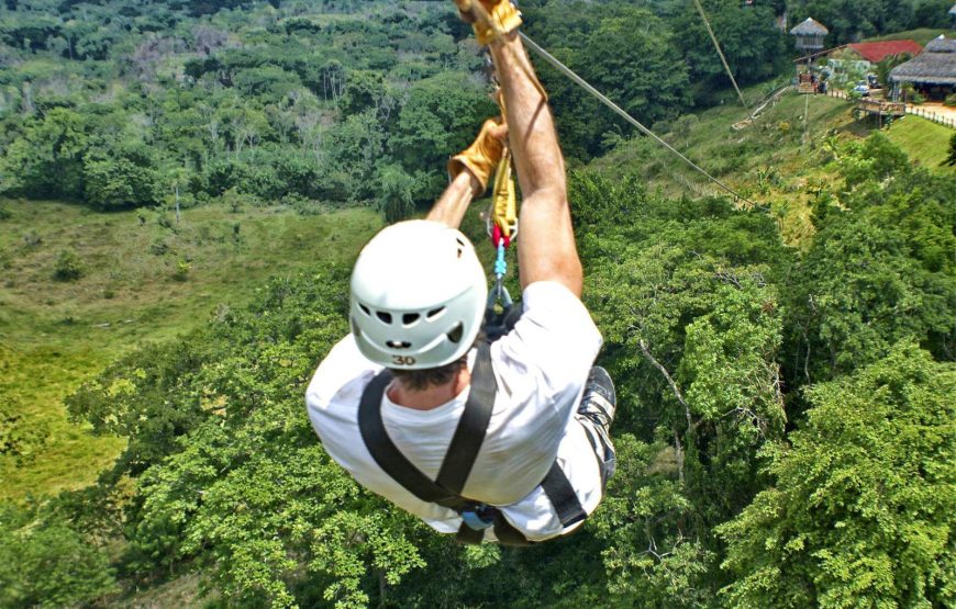 Monkey Jungle Zip Lining