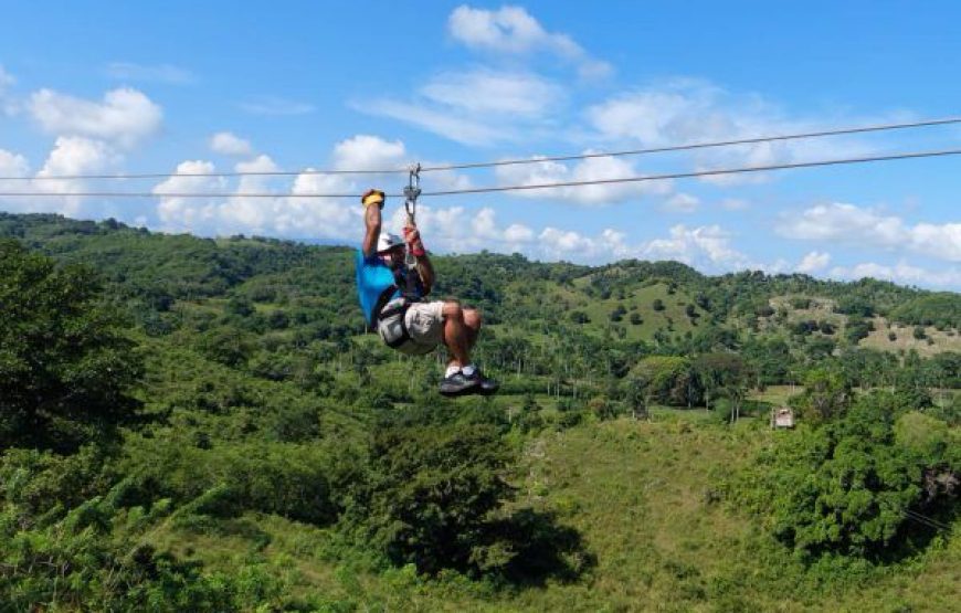 Monkey Jungle Zip Lining